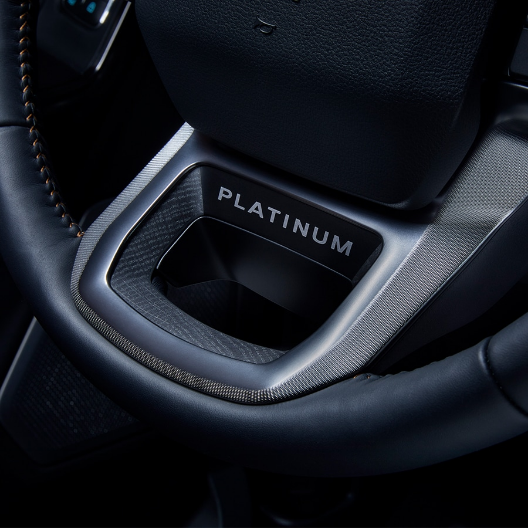 platinum_steering_wheel